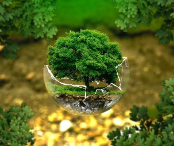 5个WordPress图片压缩优化插件（经过测试和比较）