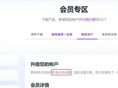 官方正版Divi主题和EXTRA主题插件终身授权出售