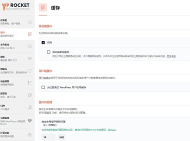 WordPress缓存方案WP Rocket插件设置